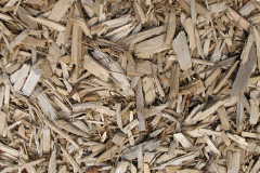 biomass boilers Appleton Thorn